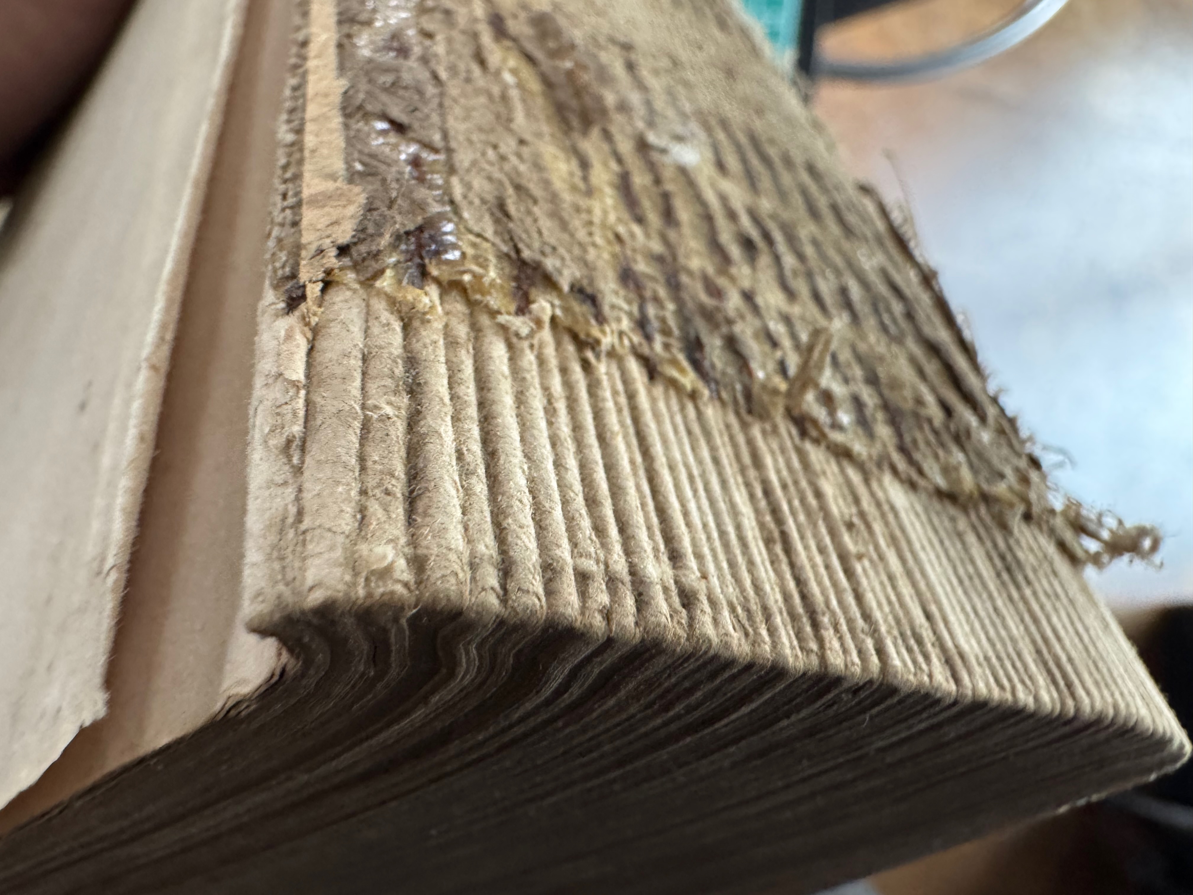 Text block up close