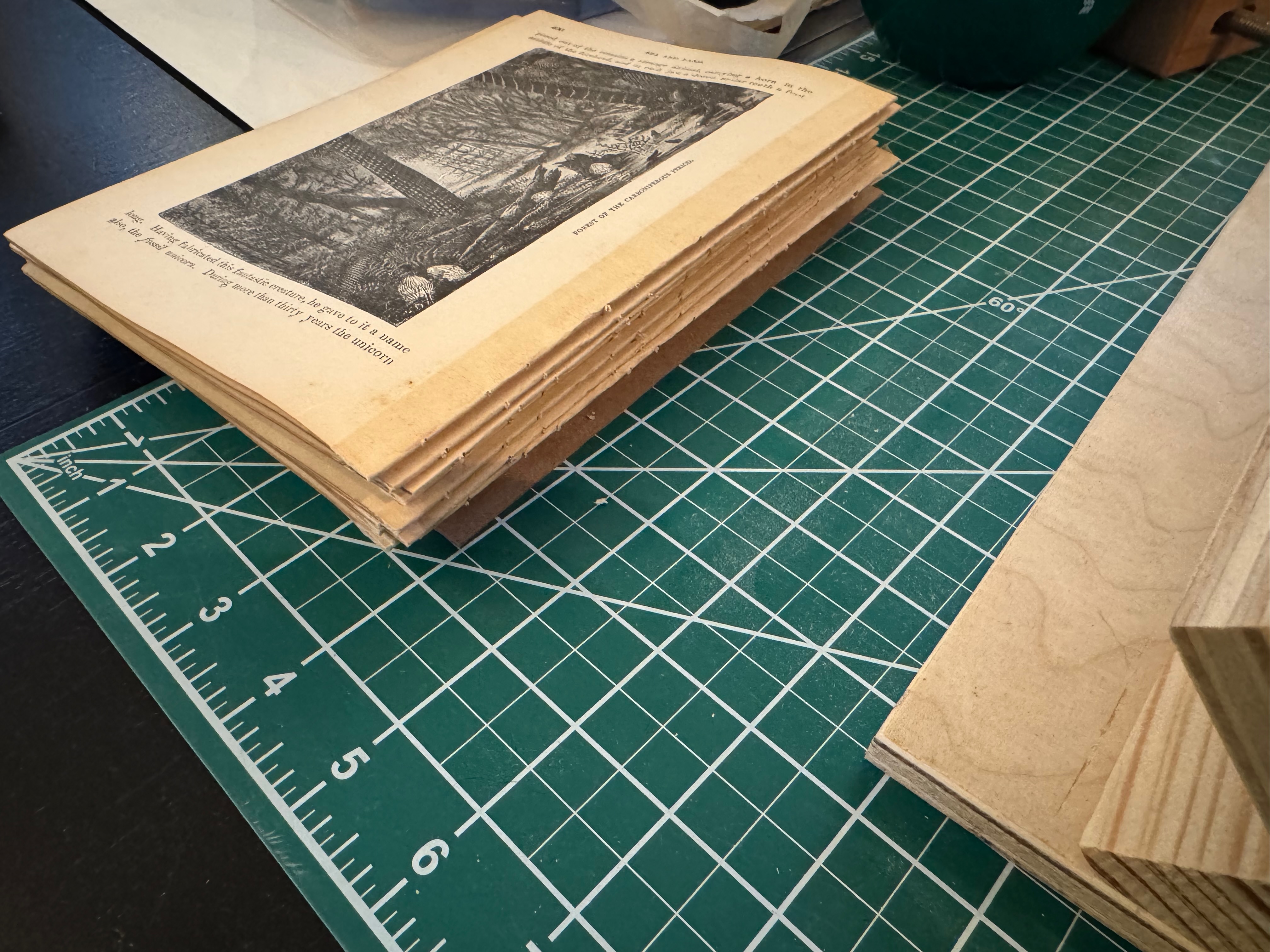 A stack of punched signatures